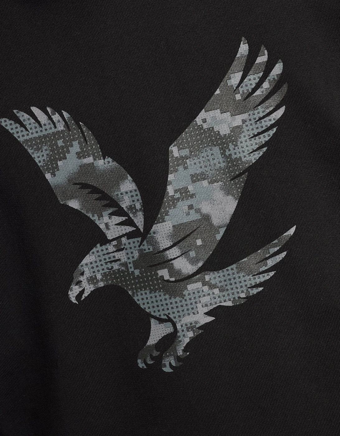 Pixelated Eagle Print Hoodie