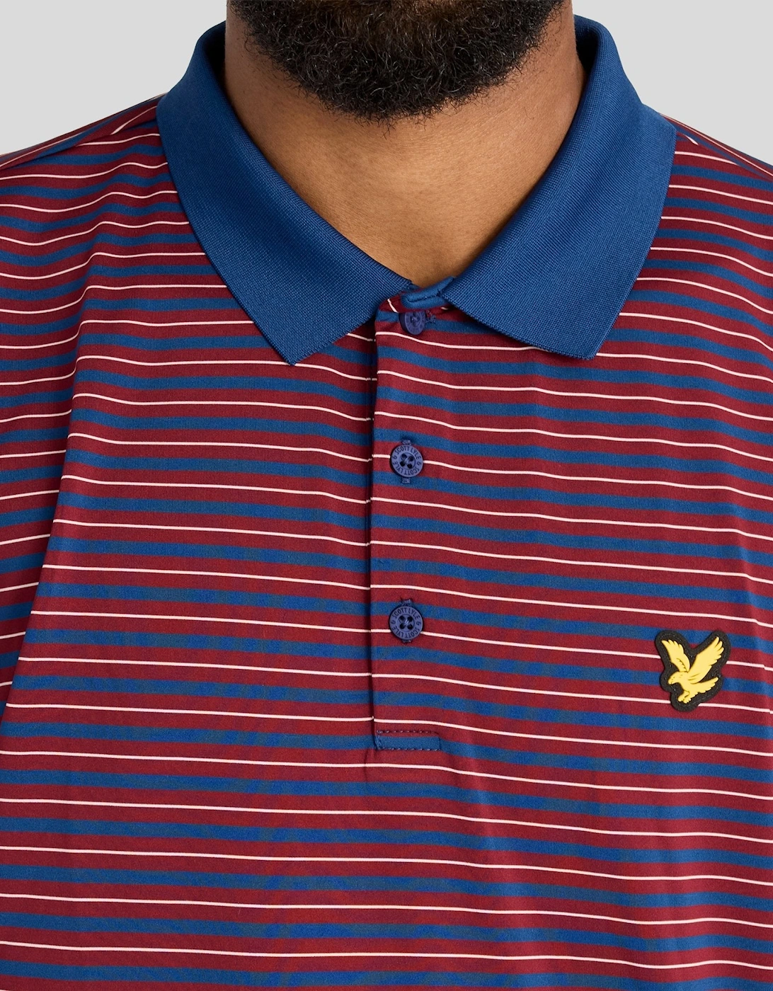 Stripe Polo Shirt