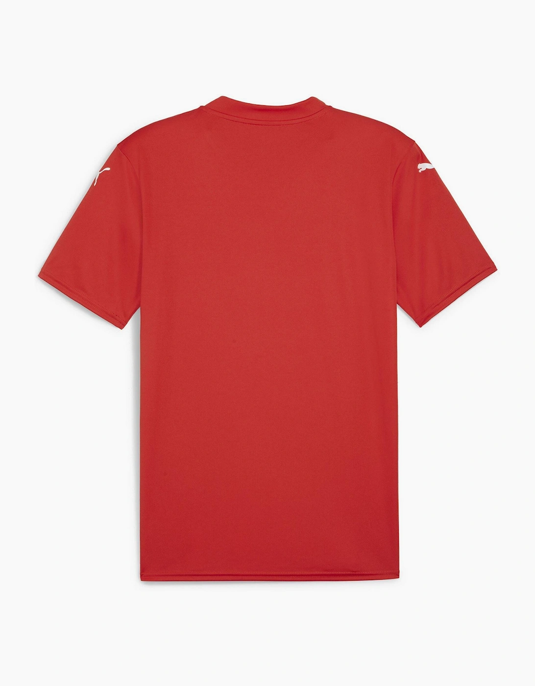 Mens Teamglory Jersey T-Shirt