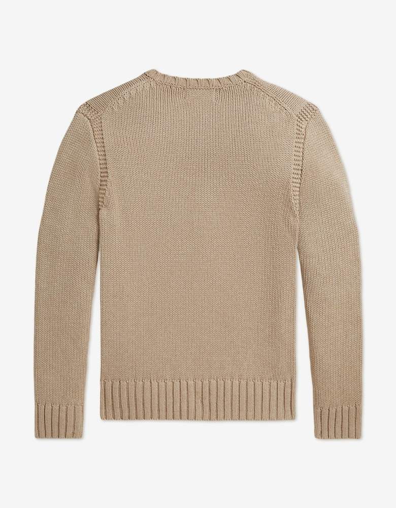 Ralph Lauren Boys Iconic Flag Jumper in Beige