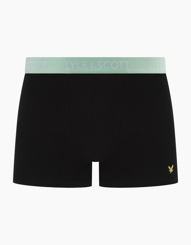 Tyler 10 Pack Plain Boxer Briefs