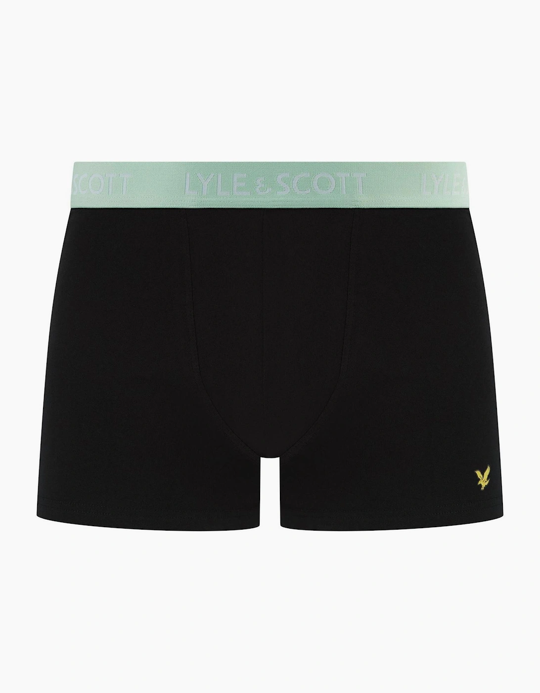 Tyler 10 Pack Plain Boxer Briefs