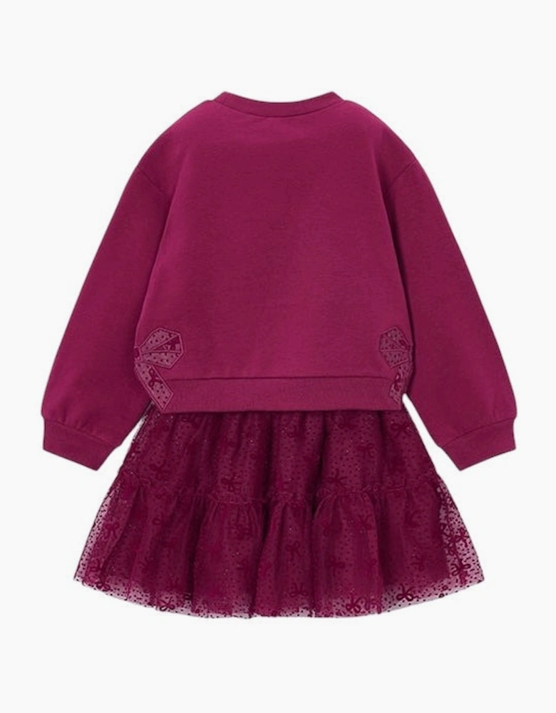 Girls Burgundy Bow Jumper Tulle Skirt Set
