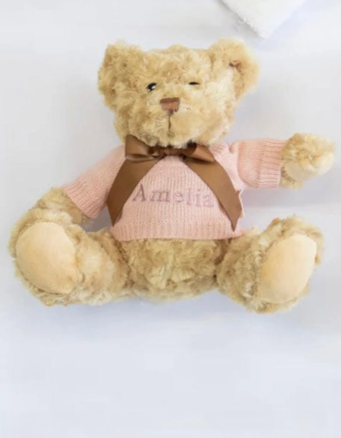 Luxury Personalised Teddy