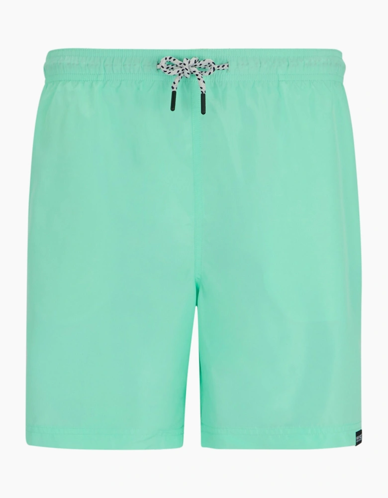 Regatta Mens Mackleyna Swim Shorts