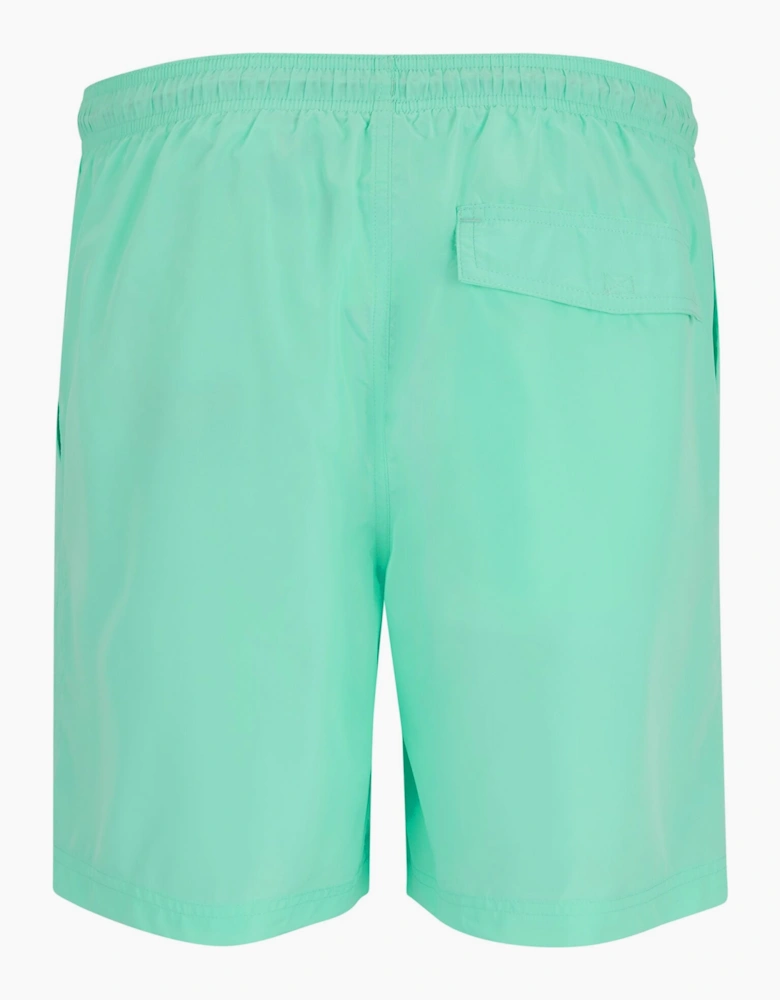 Regatta Mens Mackleyna Swim Shorts