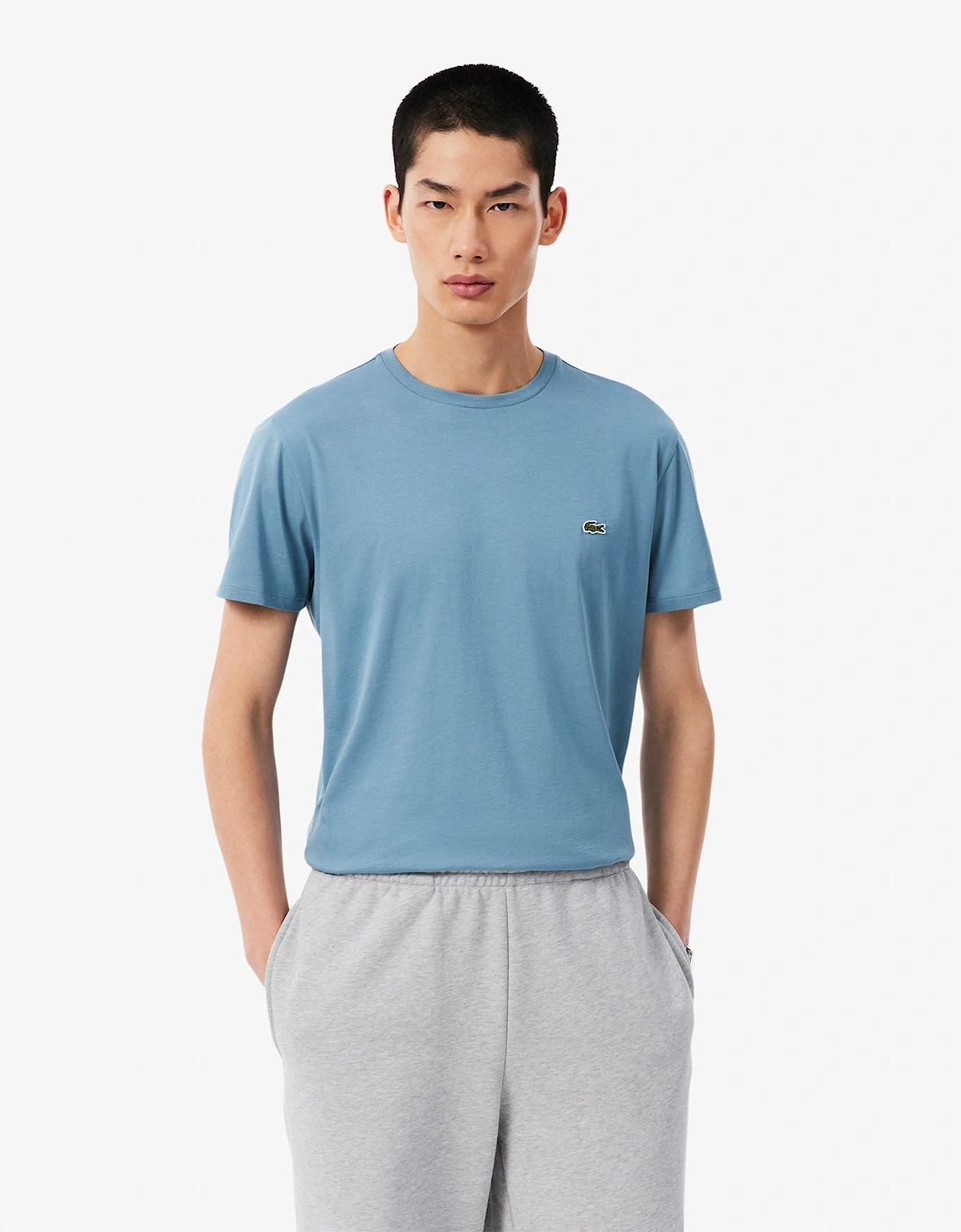 Lacoste Mens Crew Neck Pima Cotton Jersey T-Shirt - Aral 57I, 8 of 7