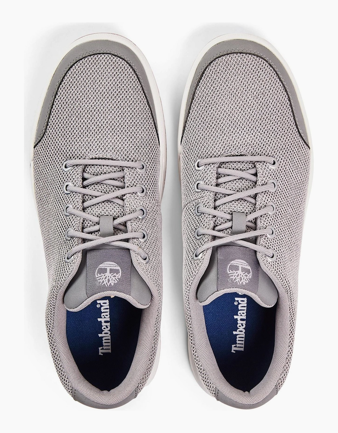 Maple Grove Canvas Low Top Lace Up Sneakers