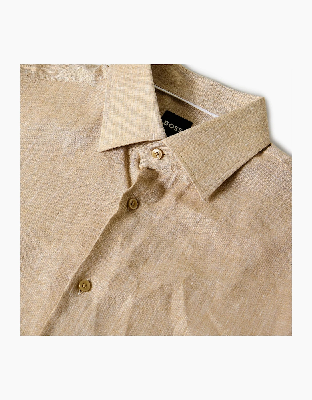 Collared Neck Point Collar Long Sleeve Oxford Shirt