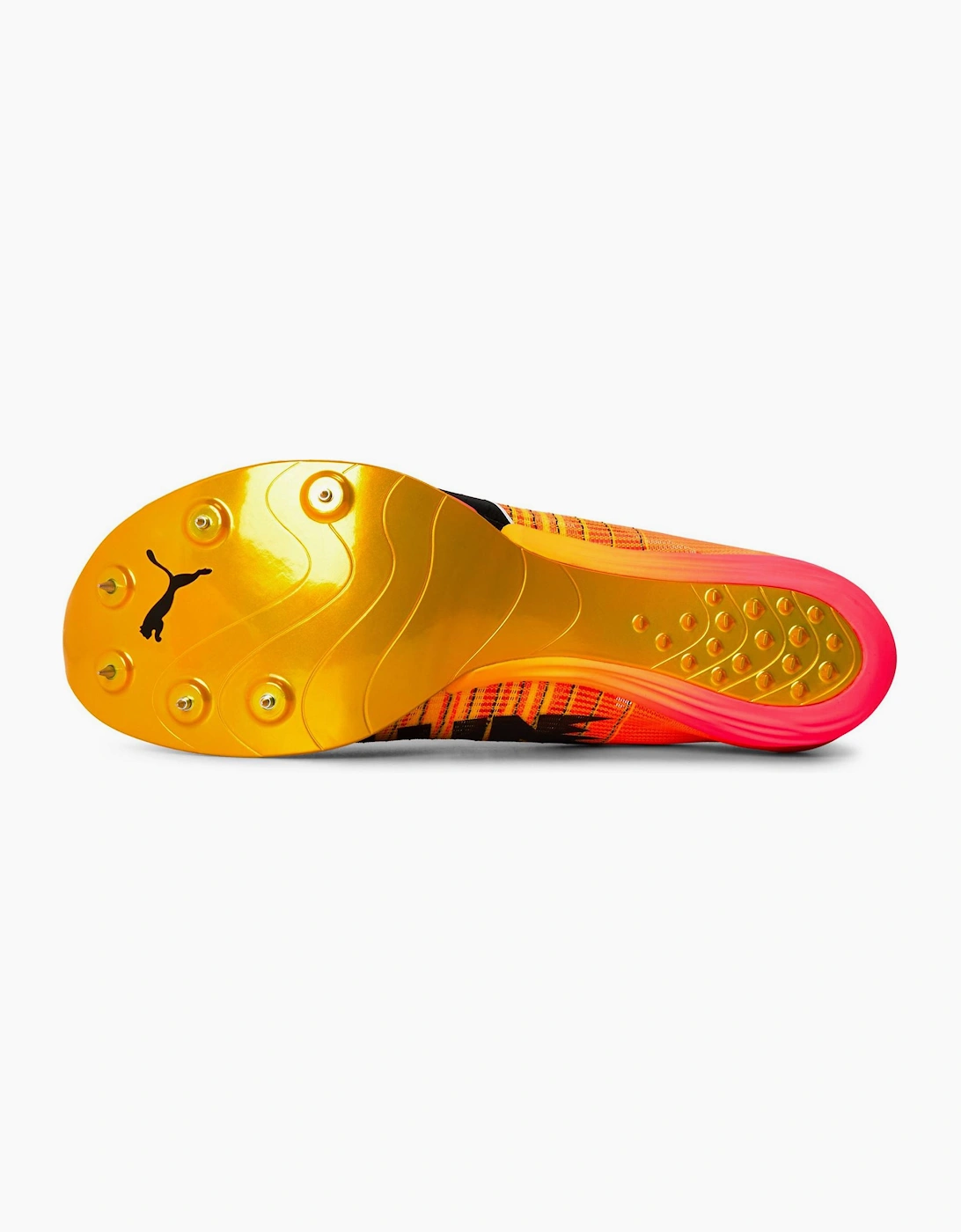 Evospeed Forte Nitro Elit Track Running Spikes