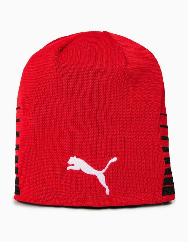 Liga Reversible Beanie Beany Mens