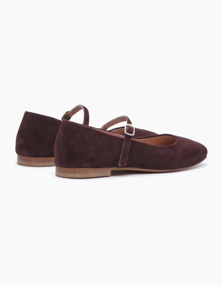 Hush Puppies Pasha Suede Women's Chocolate Flats