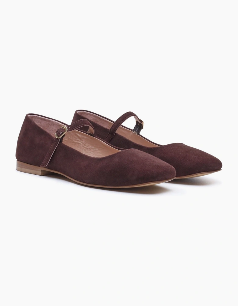 Hush Puppies Pasha Suede Women's Chocolate Flats