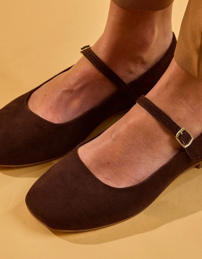 Hush Puppies Pasha Suede Women's Chocolate Flats