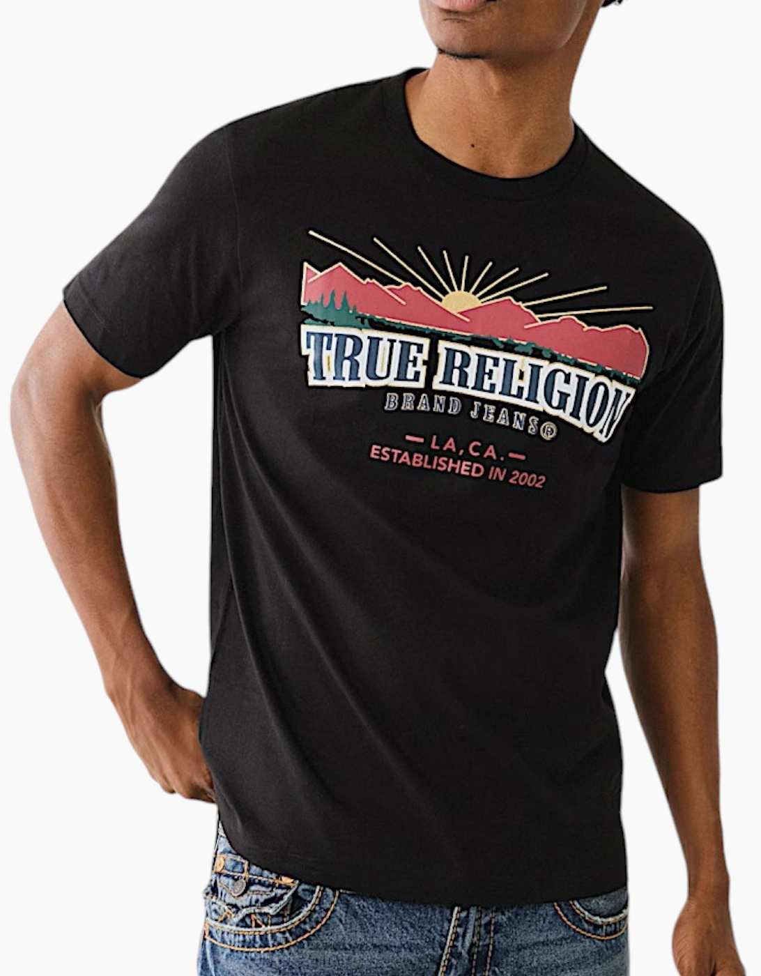 True Religion 700032 Mens T Shirts