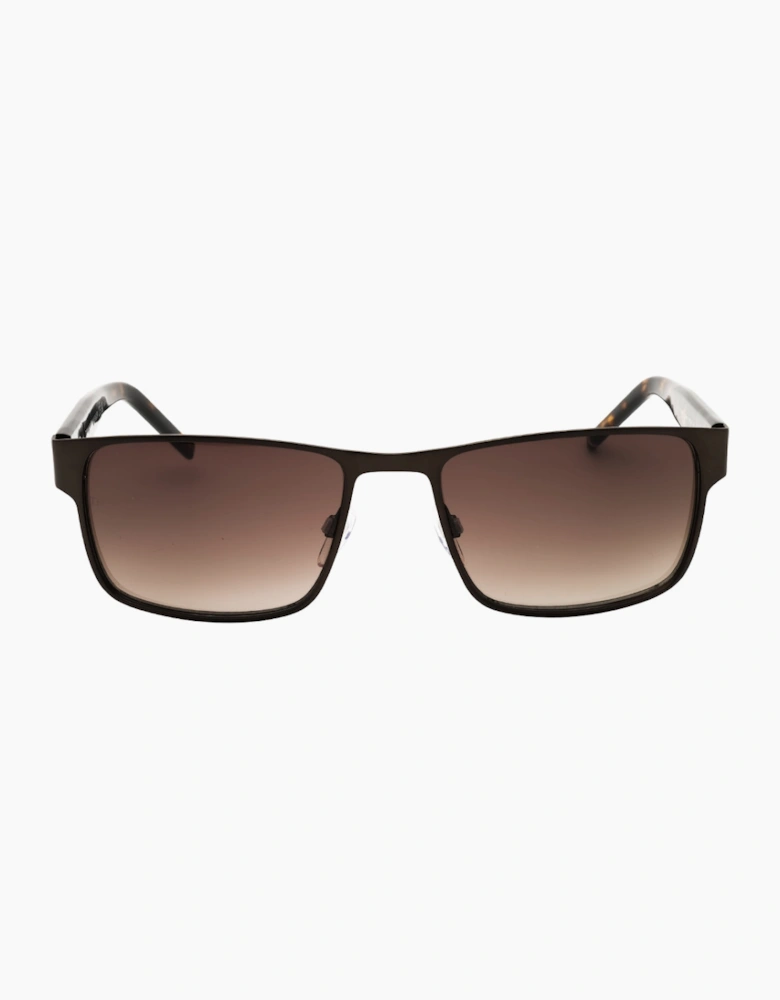 Tommy Hilfiger Havana Brown Sunglasses