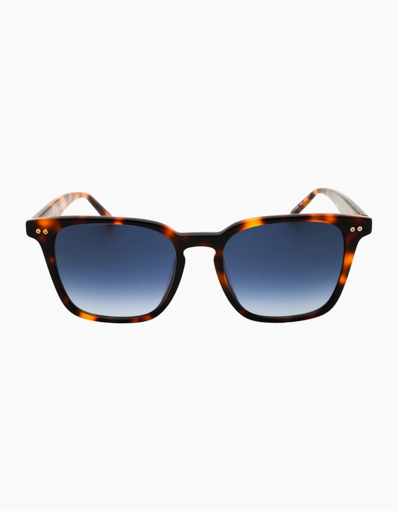 Tommy Hilfiger Tortoise Brown Gradient Sunglasses