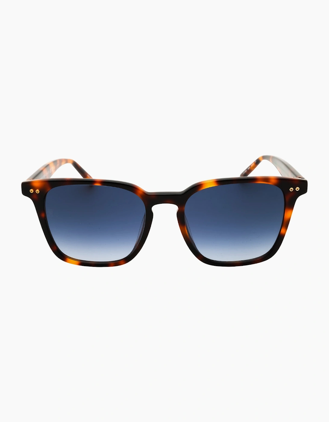 Tommy Hilfiger Tortoise Brown Gradient Sunglasses