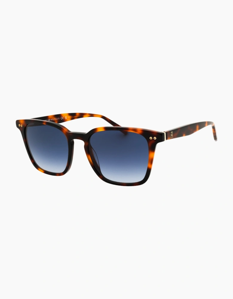 Tommy Hilfiger Tortoise Brown Gradient Sunglasses