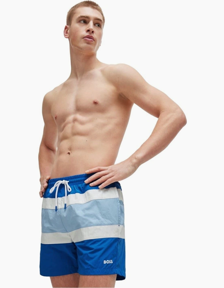 Rico Stripe Swim Trunk