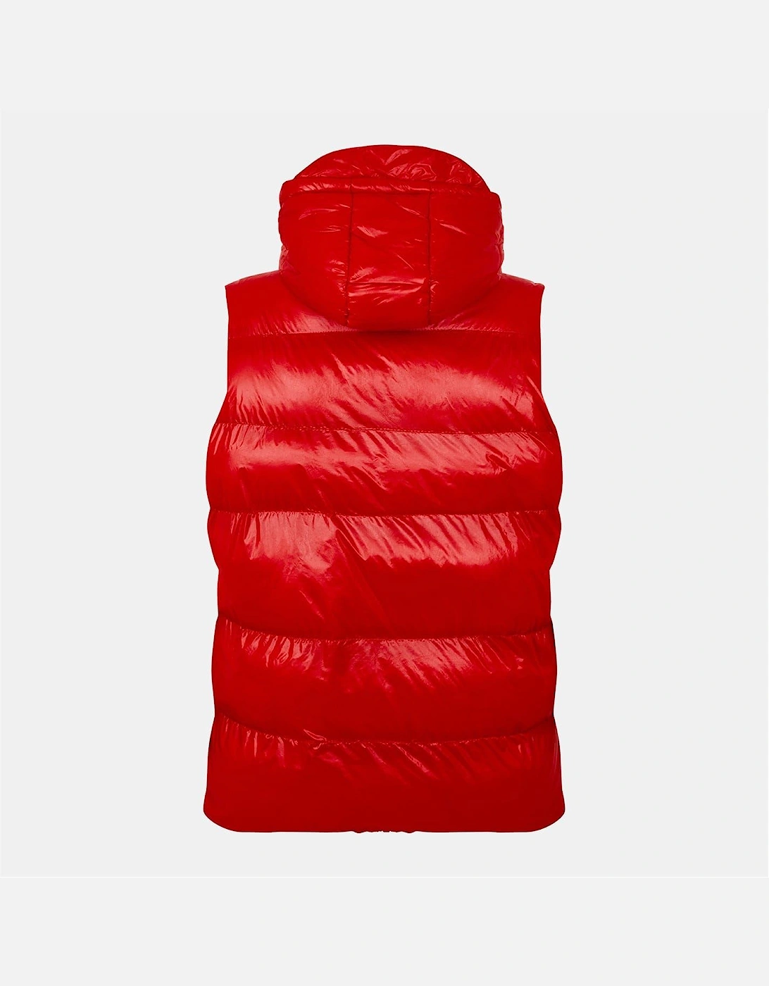 Hooded Neck Solid Patterned Puffer Coat