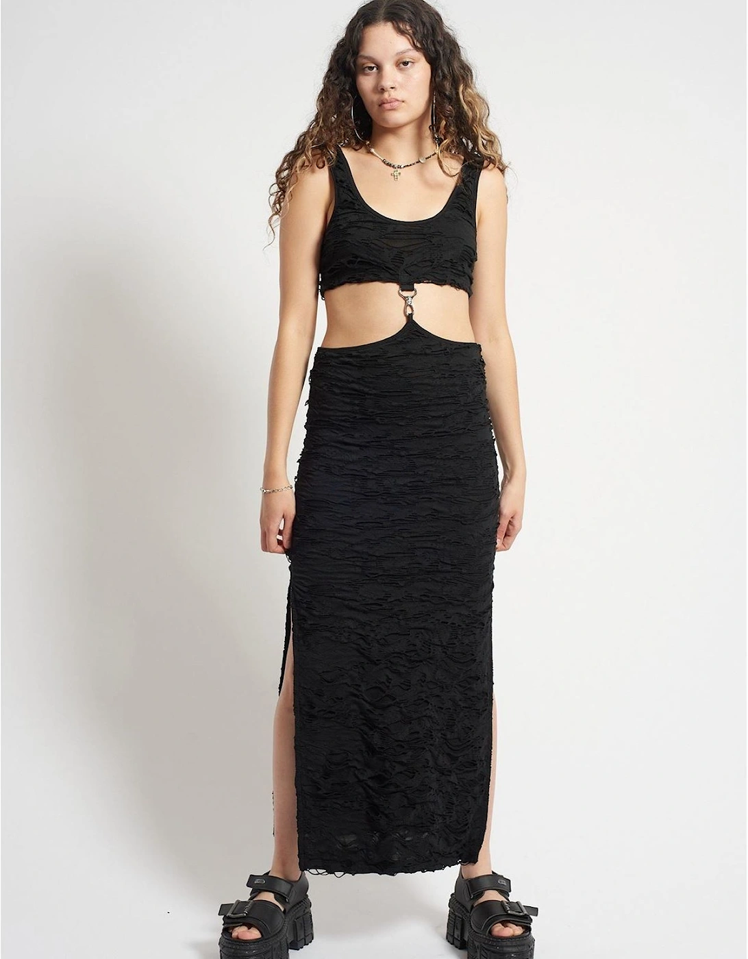Rag Nightshade D