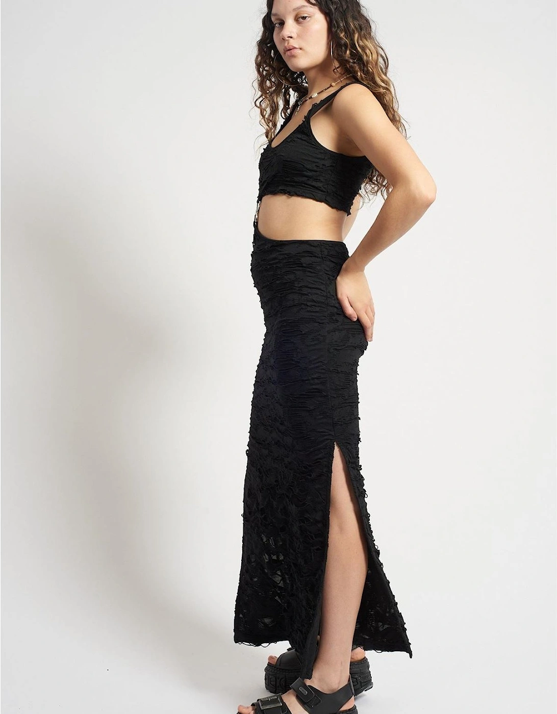 Rag Nightshade D