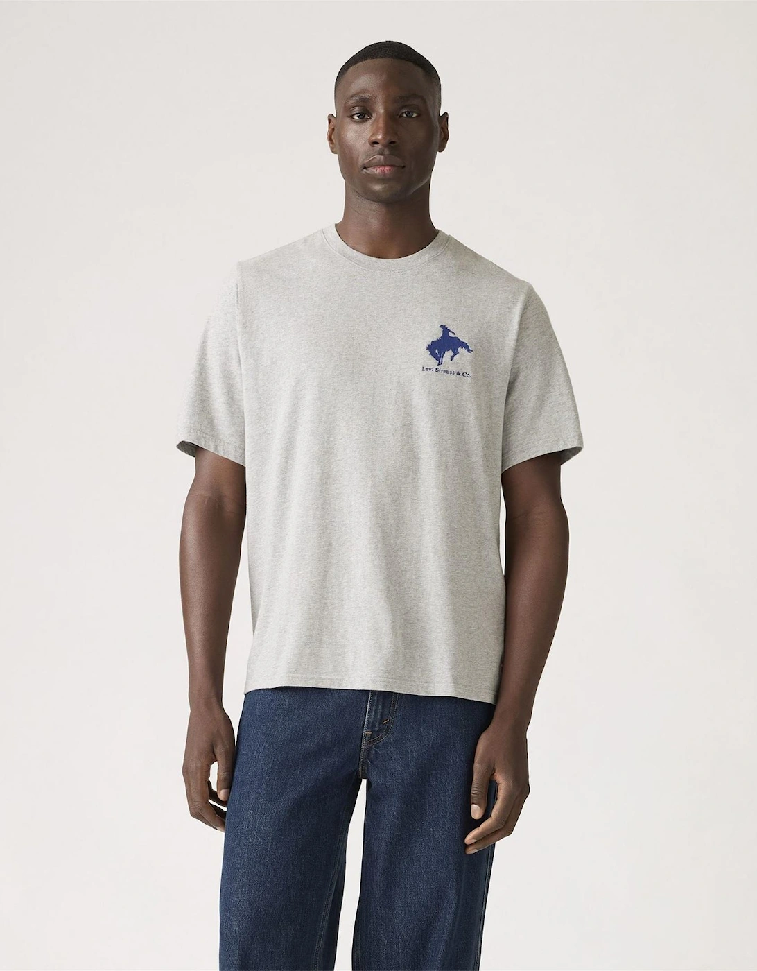 Graphic Crew Neck Short Sleeve Relaxed Fit T-Shirt