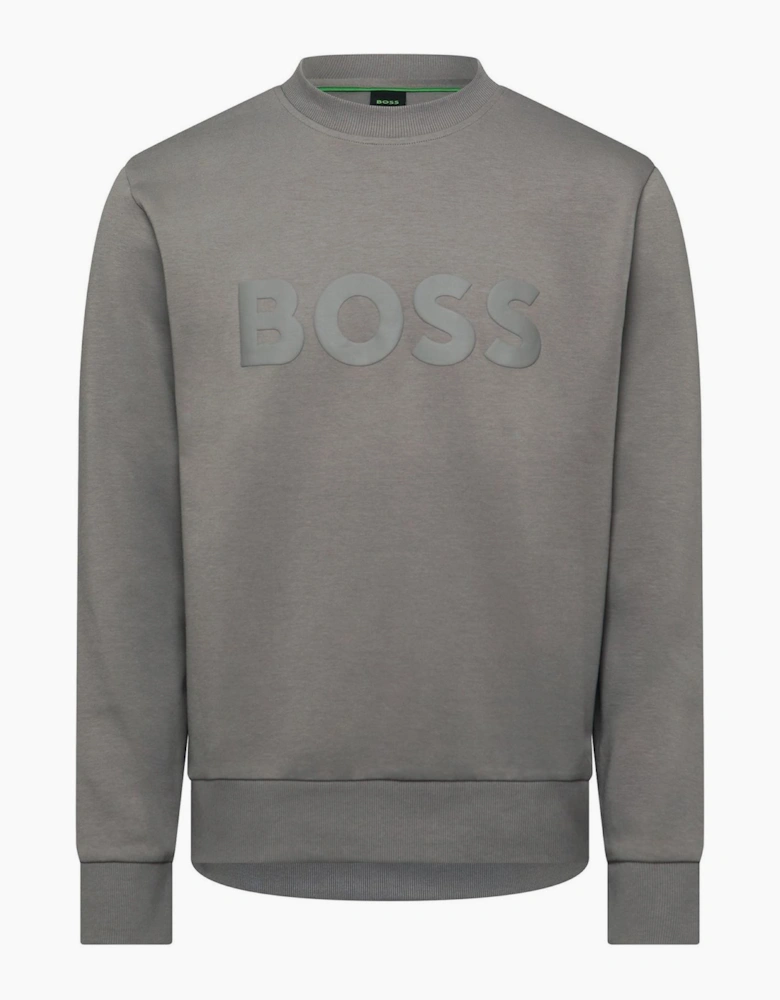 Wordmark Crew Neck Long Sleeve Regular Fit Sweatshirt