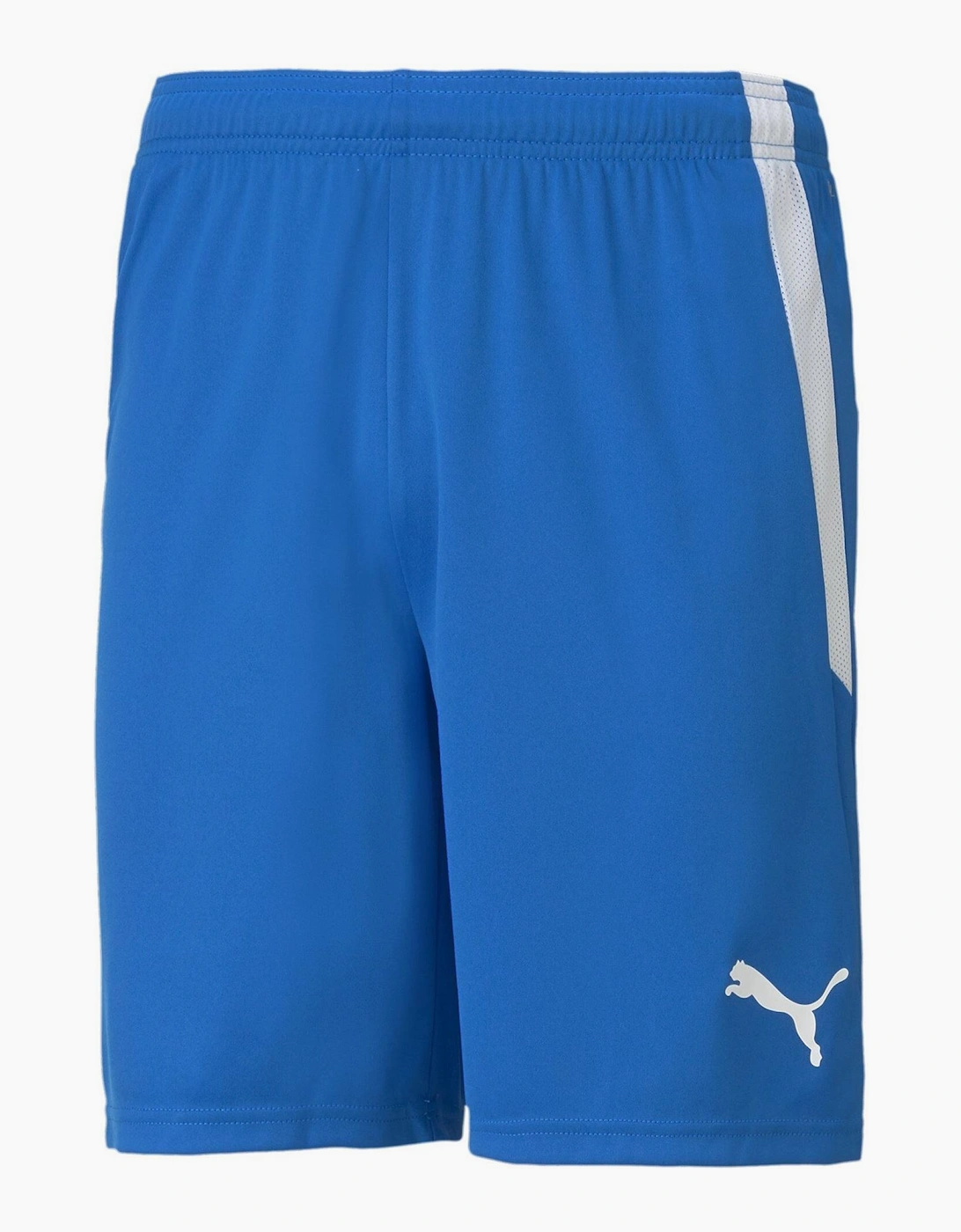 Mens Teamliga Shorts Football Shorts