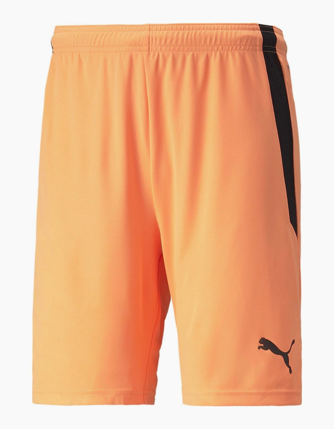 Mens Teamliga Shorts Football Shorts