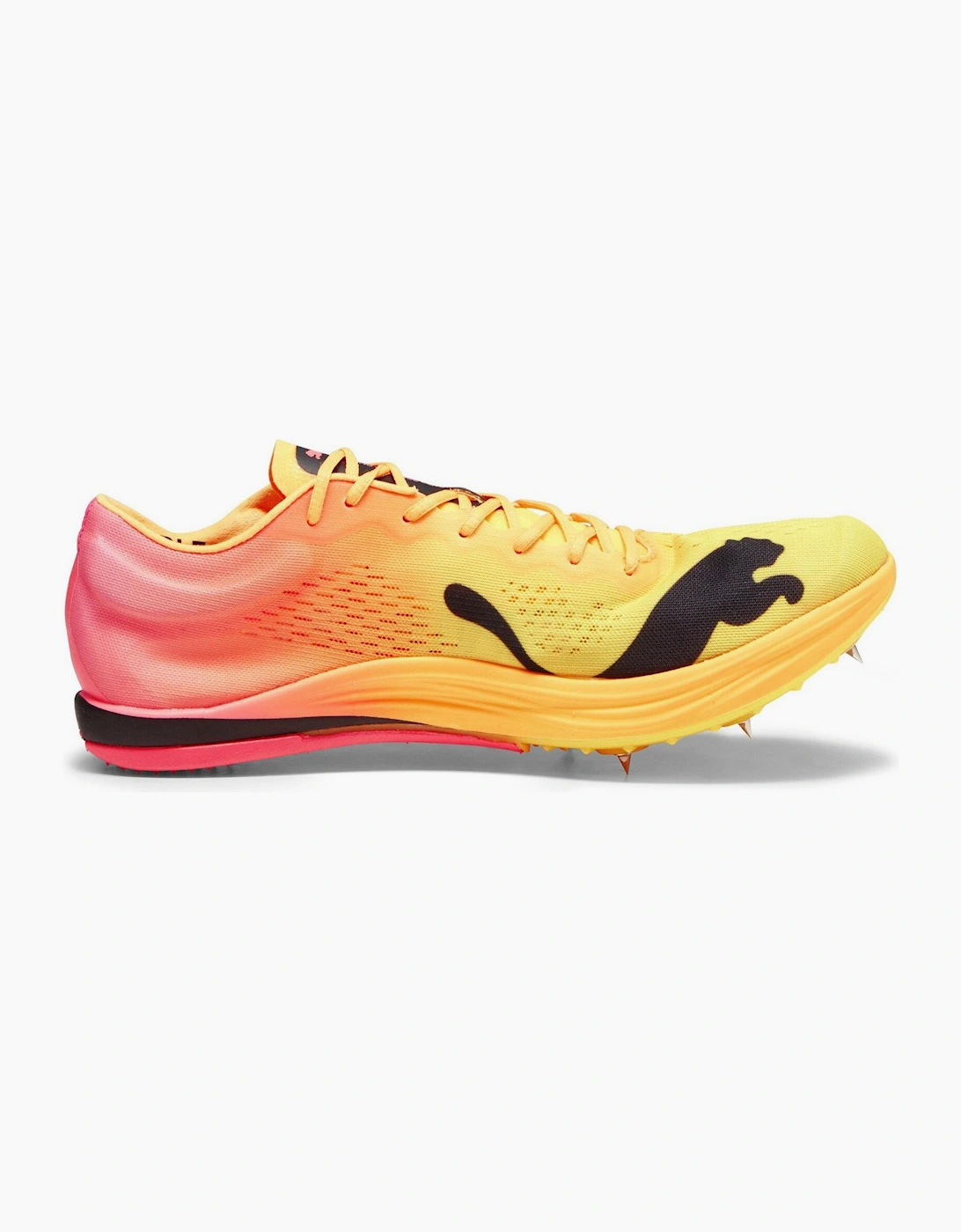 Evospeed Long Distance Track Running Spikes