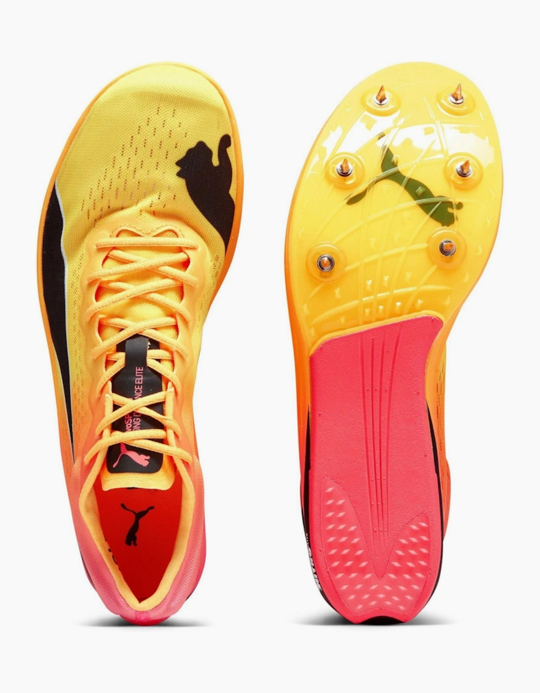 Evospeed Long Distance Track Running Spikes