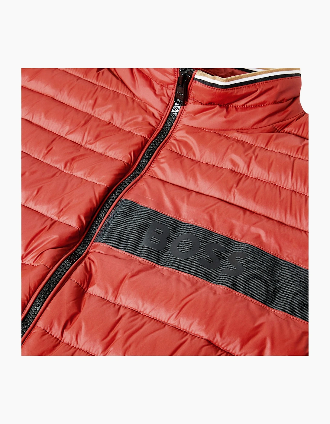 Darolan Sleeveless Gilet