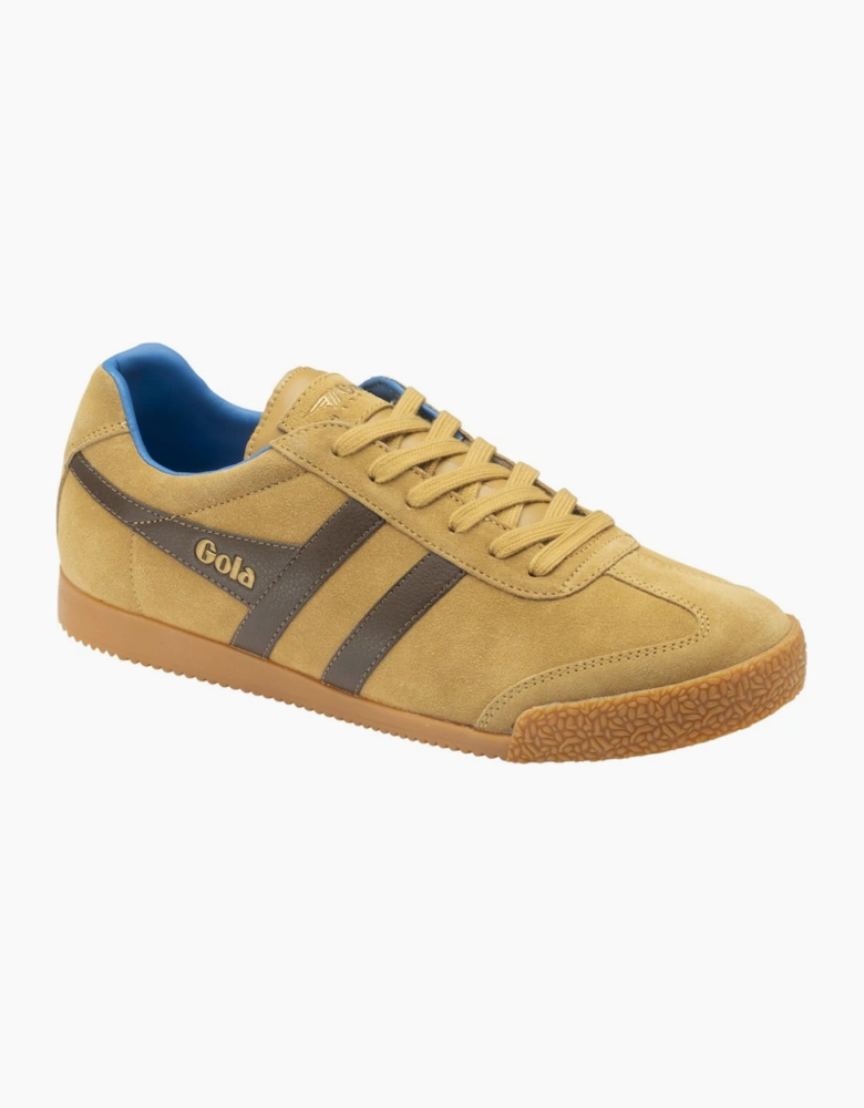 Harrier Mens Trainers
