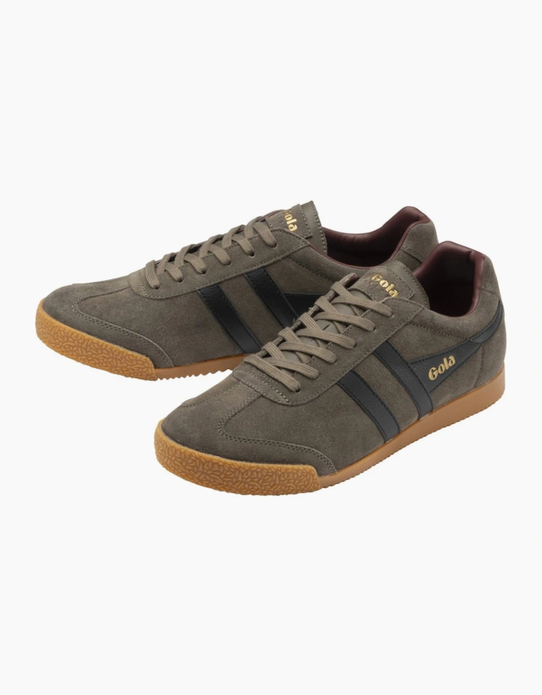 Harrier Mens Trainers