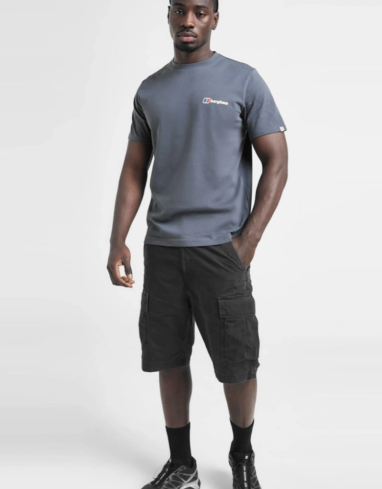 Berghaus Mens Pinnacle Point Graphic Mountain T Shirt in Grey