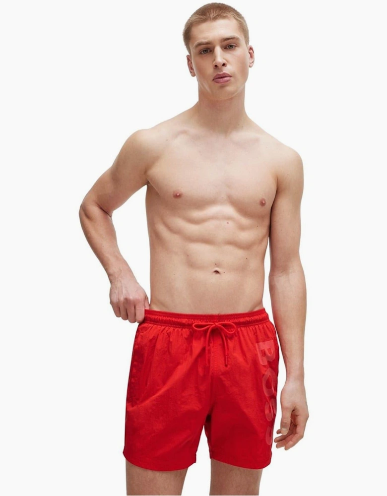 Swim Shorts