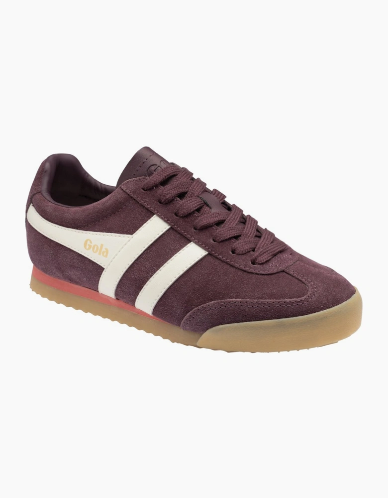 Apollo Womens Trainers