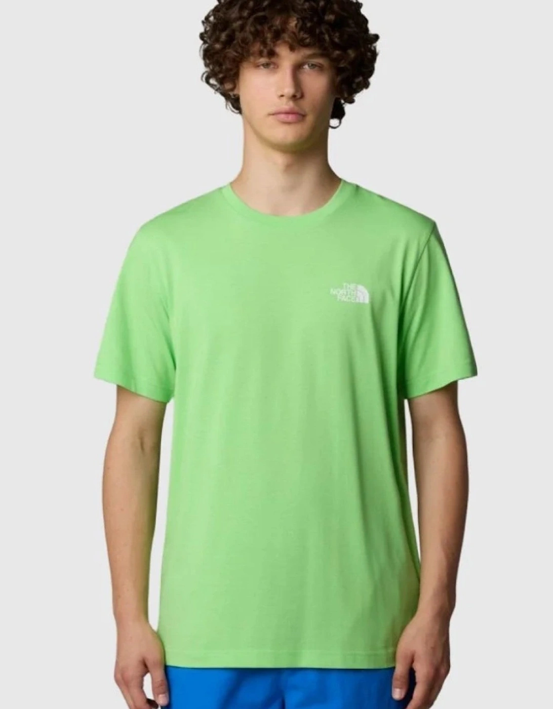 The North Face Mens Simple Dome Short Sleeve T-shirt in Meta Lime