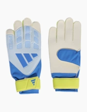 Blue/Yellow