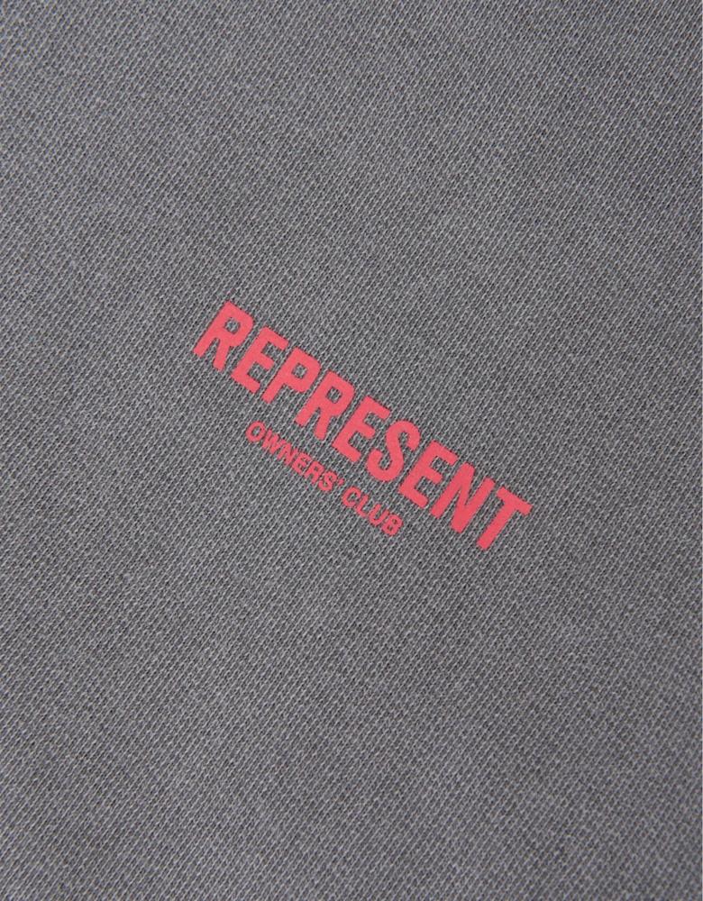 REPRESENT Kids Mini Owners Club Hoodie in Grey