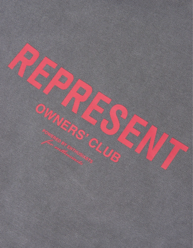 REPRESENT Kids Mini Owners Club Hoodie in Grey