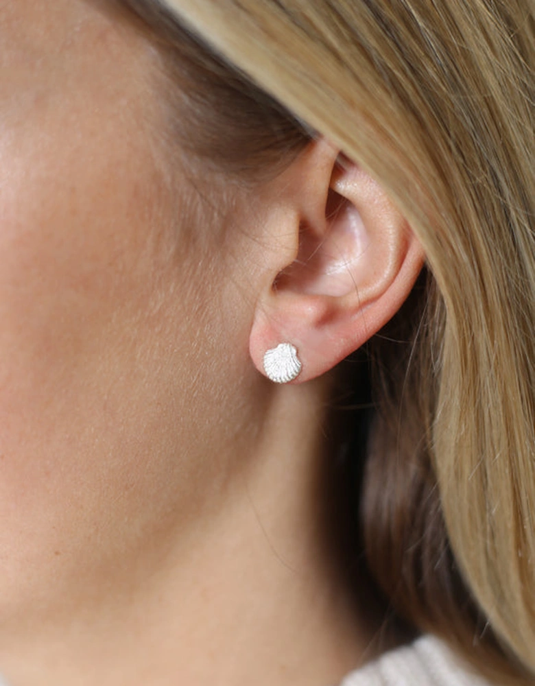 Shell Earrings