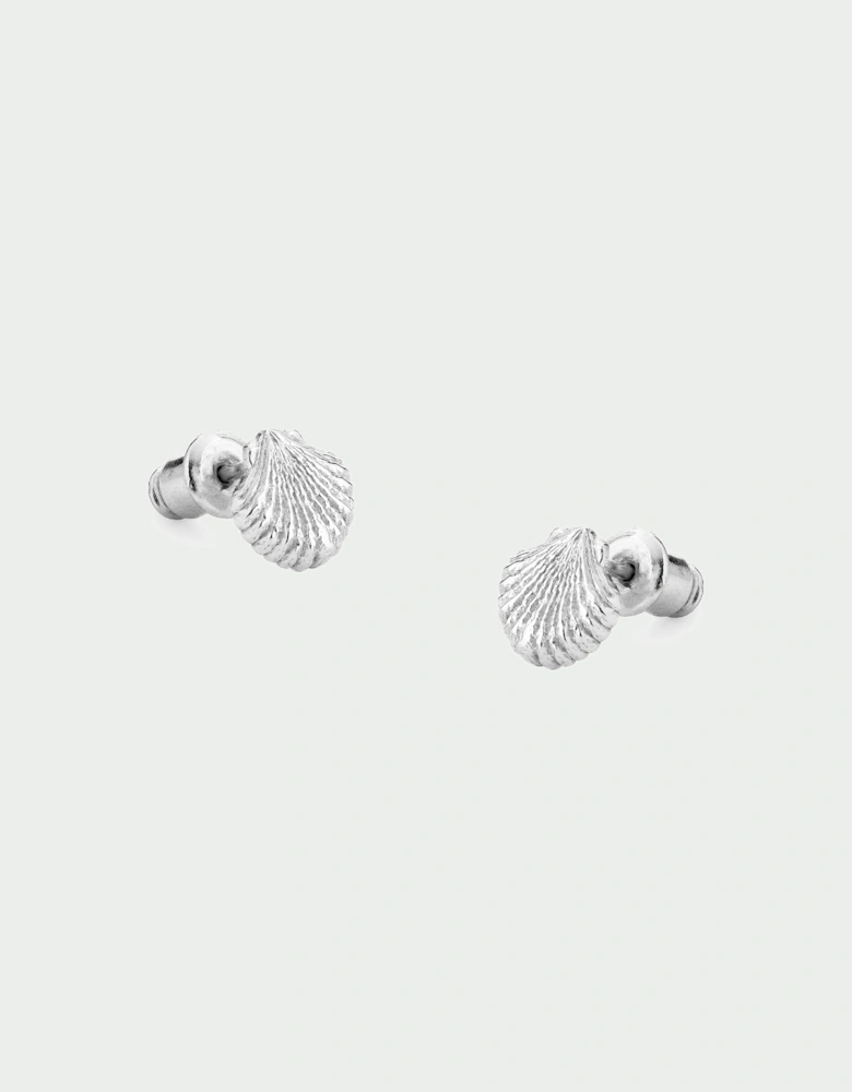 Shell Earrings