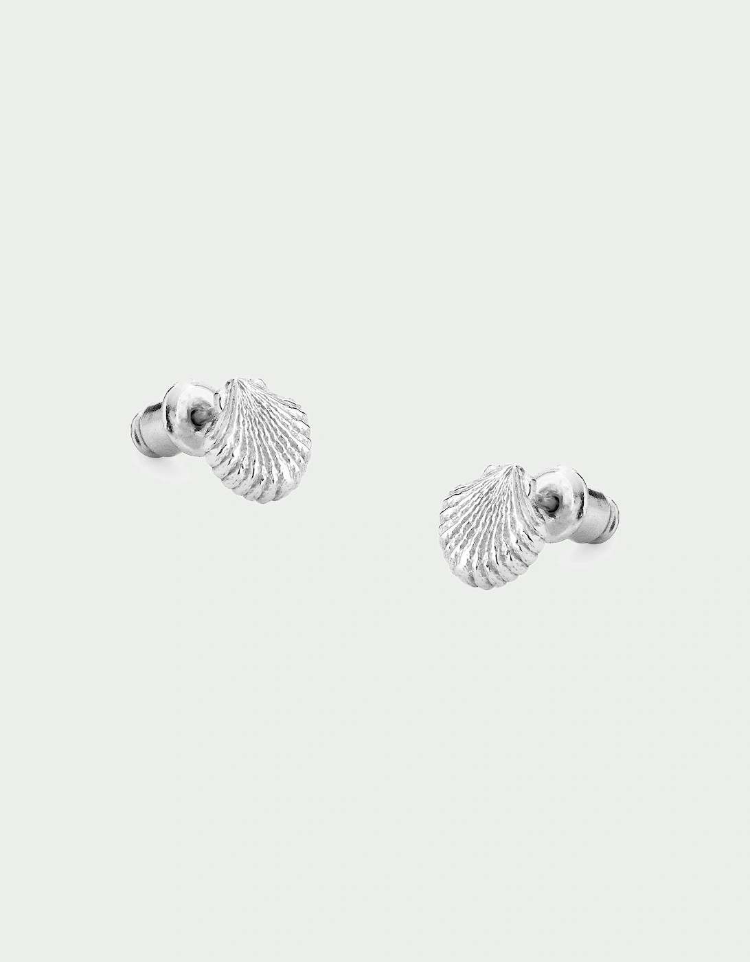 Shell Earrings
