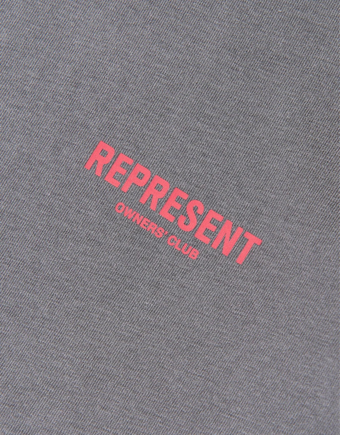 REPRESENT Kids Mini Owners Club T-Shirt in Grey