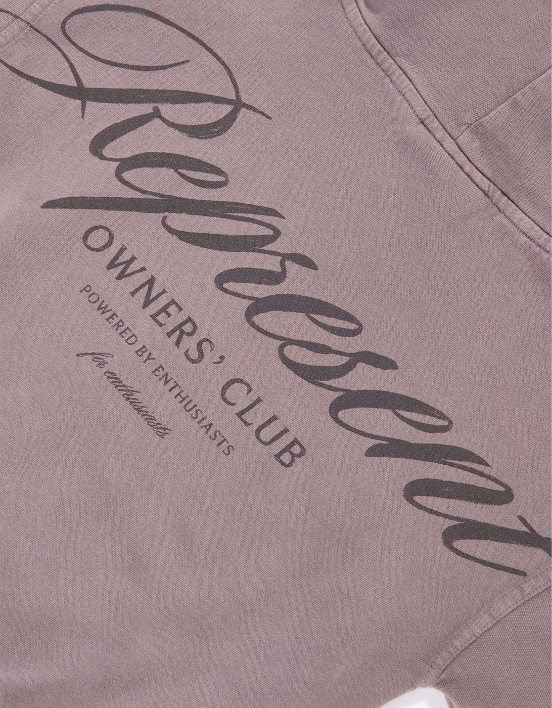 REPRESENT Kids Mini Owners Club Script Hoodie in Brown