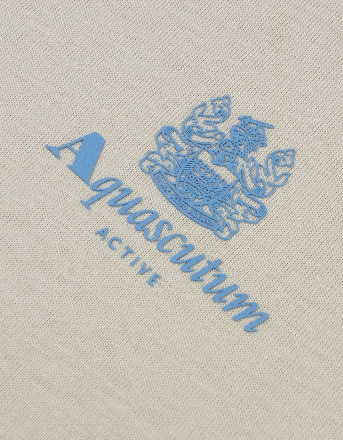 Aquascutum Active Small Logo T Shirt Beige/Blue