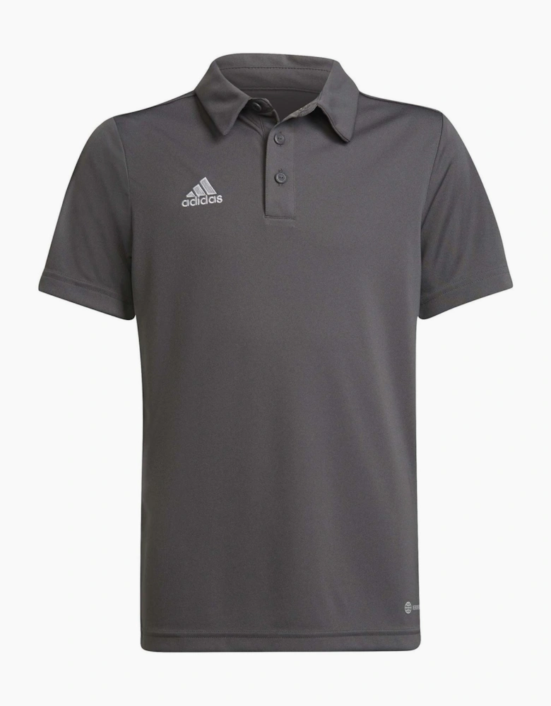 Collared Neck Short Sleeve Regular Fit Shirt